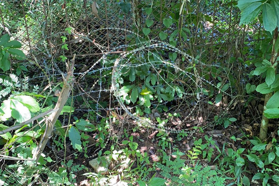 Колючий дріт на кордоні Таїланду з Малайзією