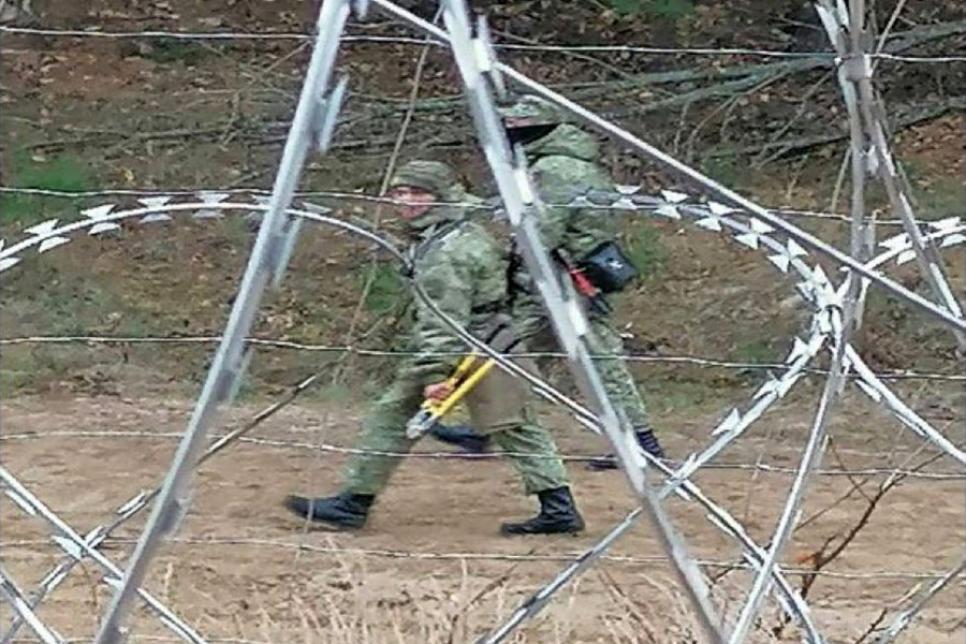 Белорусское оружие против колючей проволоки